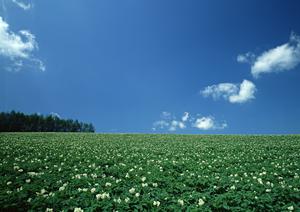 富士葬祭 島田|家族葬・一般葬に対応したプライベートな葬儀場と安心のサービス