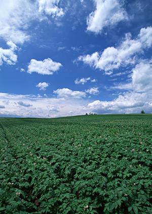 都筑区での葬儀を安心・納得のサポートで実現！2025年最新の葬儀プランと選び方