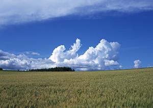 浜松市中央区にある富士葬祭 小豆餅:家族葬に最適な小規模式場と充実のサポート体制