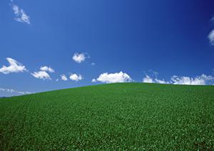 静岡県藤枝市の家族葬・一日葬に最適な葬儀場【富士葬祭 藤枝城南】の特徴とアクセス情報