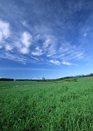 静岡市で信頼される葬儀場「富士葬祭 瀬名」:家族葬から大規模葬儀までをサポート