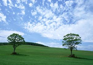 家族葬のタクセル雀宮：栃木県宇都宮市の家族葬専門斎場と充実のサービス概要