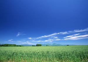 静岡市で信頼の葬儀サービスを提供する富士葬祭 材木町の詳細情報と特徴