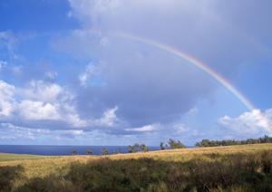 静岡県焼津市の家族葬専門斎場【家族葬のタクセル東小川】|安心・低価格の少人数葬儀