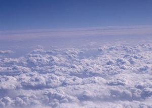 403 Forbiddenエラーの原因と解決策:アクセス制限を理解し、安全に解消する方法